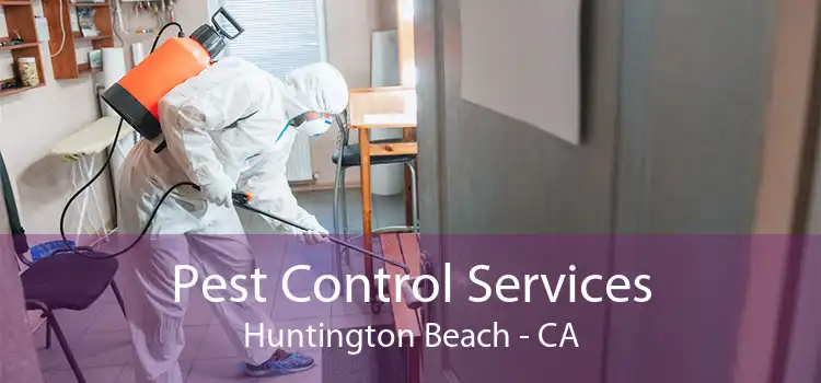 Pest Control Services Huntington Beach - CA