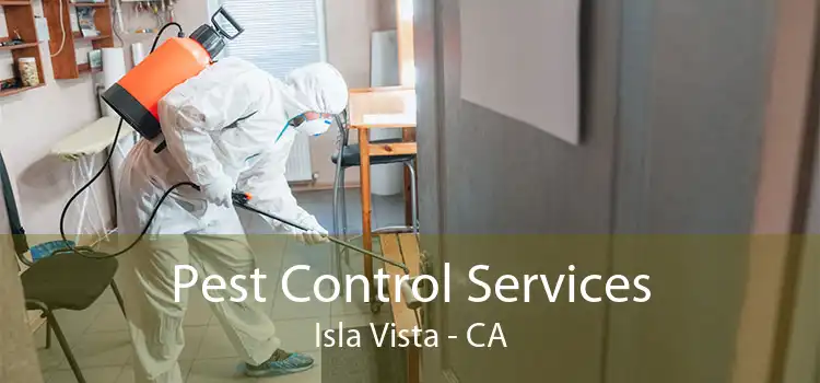 Pest Control Services Isla Vista - CA