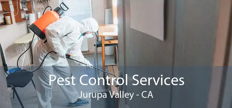 Pest Control Services Jurupa Valley - CA