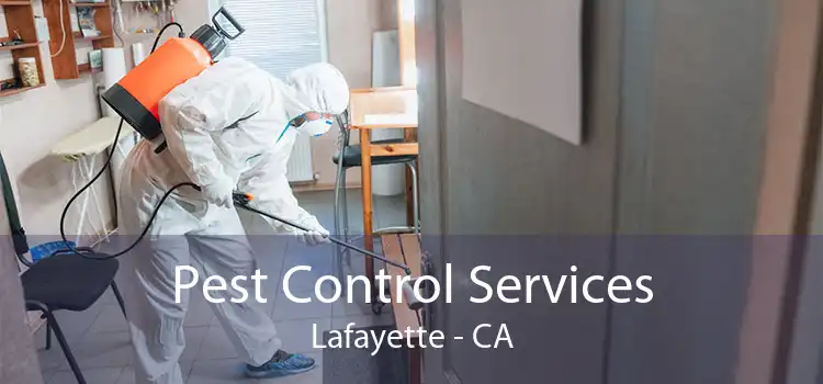 Pest Control Services Lafayette - CA