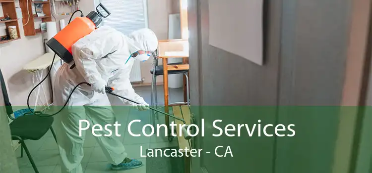 Pest Control Services Lancaster - CA