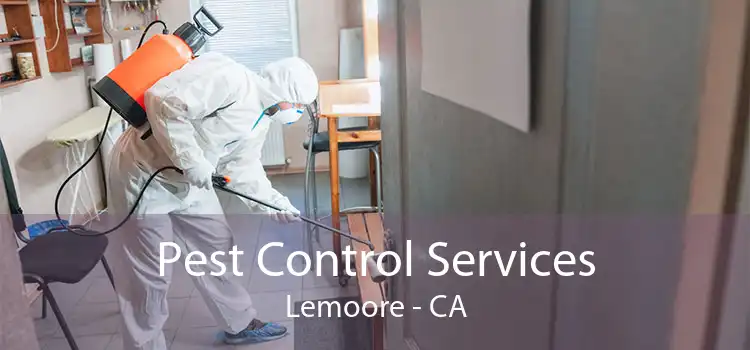 Pest Control Services Lemoore - CA