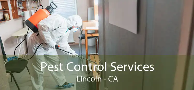 Pest Control Services Lincoln - CA