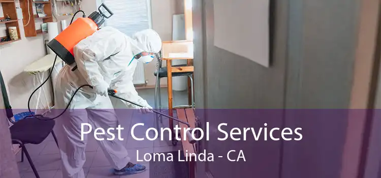 Pest Control Services Loma Linda - CA
