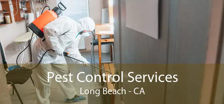 Pest Control Services Long Beach - CA