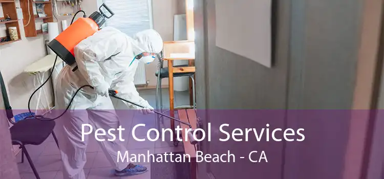 Pest Control Services Manhattan Beach - CA