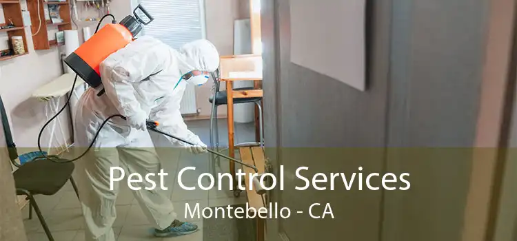 Pest Control Services Montebello - CA