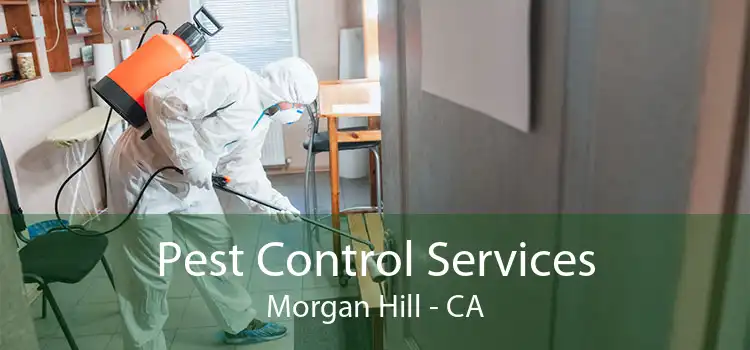 Pest Control Services Morgan Hill - CA