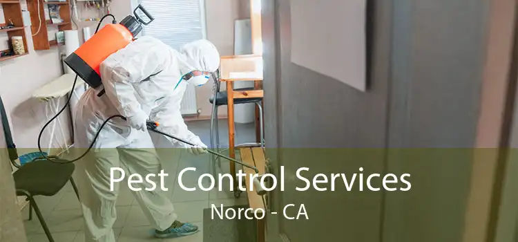 Pest Control Services Norco - CA