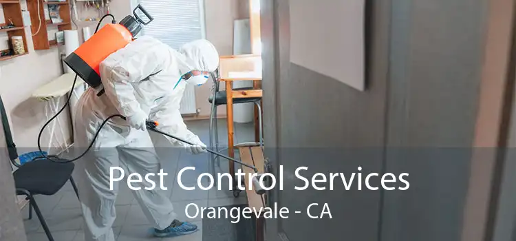 Pest Control Services Orangevale - CA