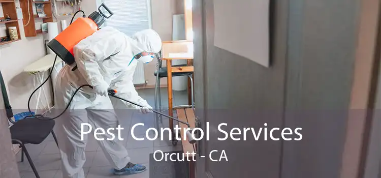 Pest Control Services Orcutt - CA