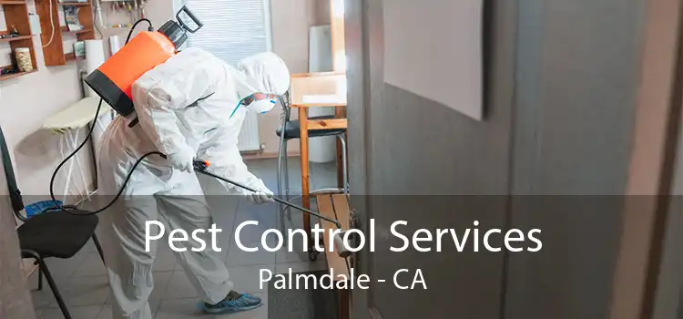 Pest Control Services Palmdale - CA