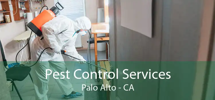 Pest Control Services Palo Alto - CA