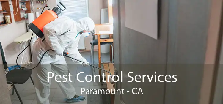 Pest Control Services Paramount - CA