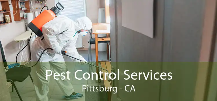 Pest Control Services Pittsburg - CA