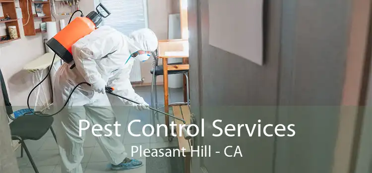 Pest Control Services Pleasant Hill - CA