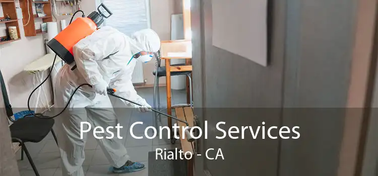 Pest Control Services Rialto - CA