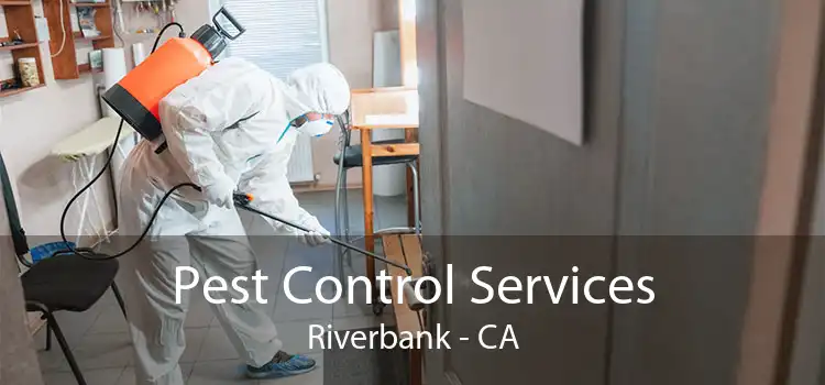 Pest Control Services Riverbank - CA