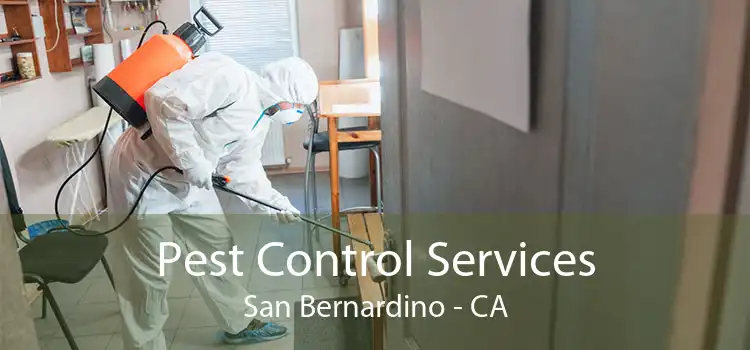 Pest Control Services San Bernardino - CA
