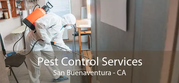 Pest Control Services San Buenaventura - CA