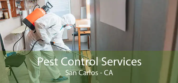 Pest Control Services San Carlos - CA