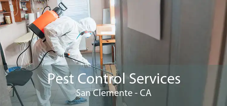 Pest Control Services San Clemente - CA