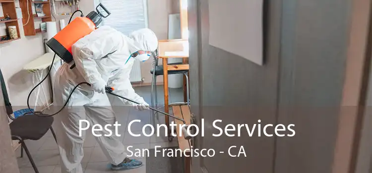 Pest Control Services San Francisco - CA