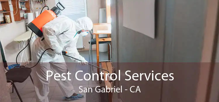Pest Control Services San Gabriel - CA