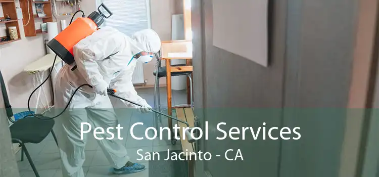 Pest Control Services San Jacinto - CA