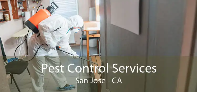 Pest Control Services San Jose - CA