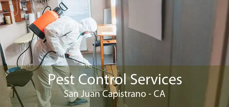 Pest Control Services San Juan Capistrano - CA