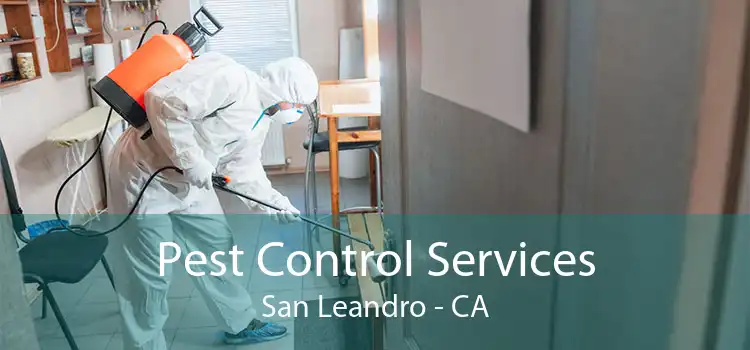 Pest Control Services San Leandro - CA