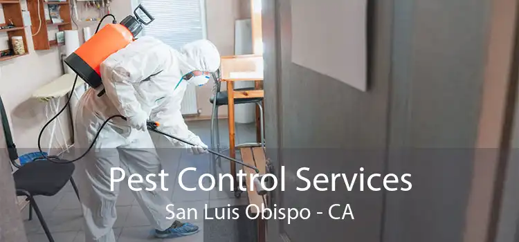 Pest Control Services San Luis Obispo - CA