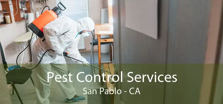 Pest Control Services San Pablo - CA