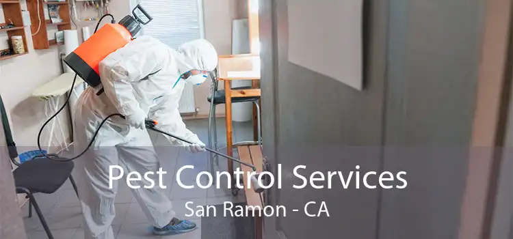 Pest Control Services San Ramon - CA