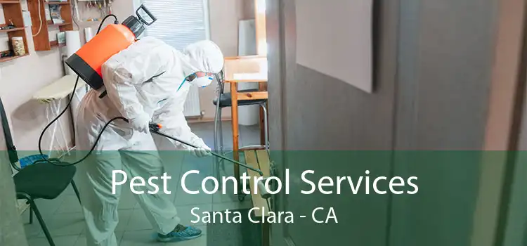 Pest Control Services Santa Clara - CA
