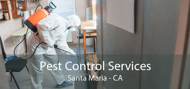 Pest Control Services Santa Maria - CA