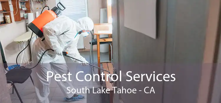 Pest Control Services South Lake Tahoe - CA