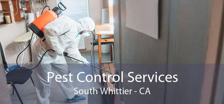 Pest Control Services South Whittier - CA