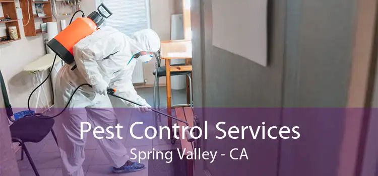 Pest Control Services Spring Valley - CA