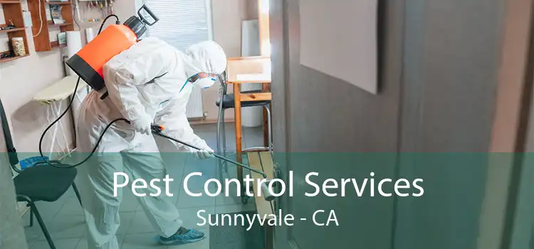 Pest Control Services Sunnyvale - CA
