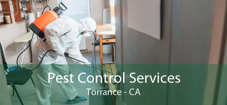 Pest Control Services Torrance - CA