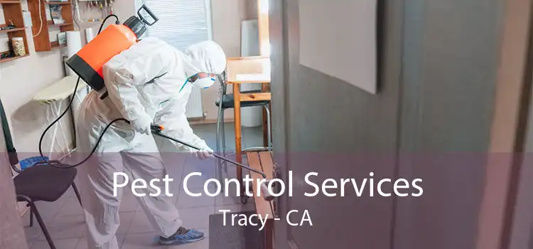 Pest Control Services Tracy - CA