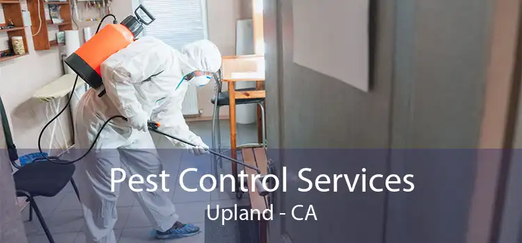 Pest Control Services Upland - CA