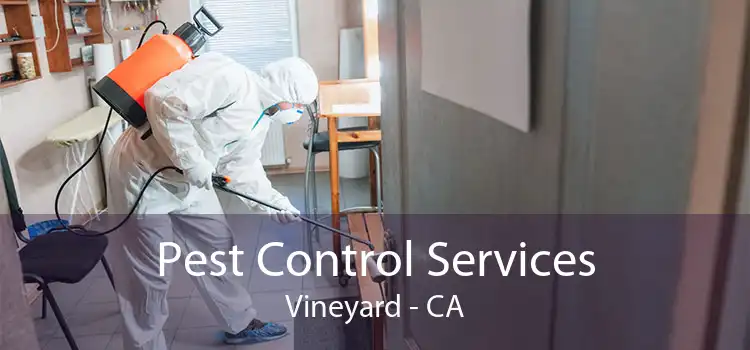 Pest Control Services Vineyard - CA