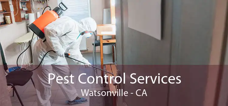 Pest Control Services Watsonville - CA