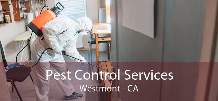 Pest Control Services Westmont - CA