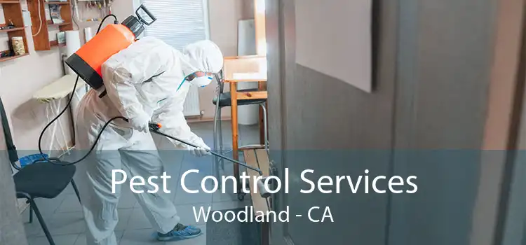 Pest Control Services Woodland - CA