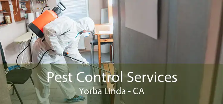 Pest Control Services Yorba Linda - CA