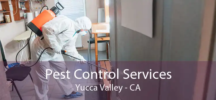 Pest Control Services Yucca Valley - CA